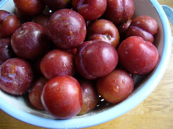 Why Iranian Dried Plums Have Discounts? 